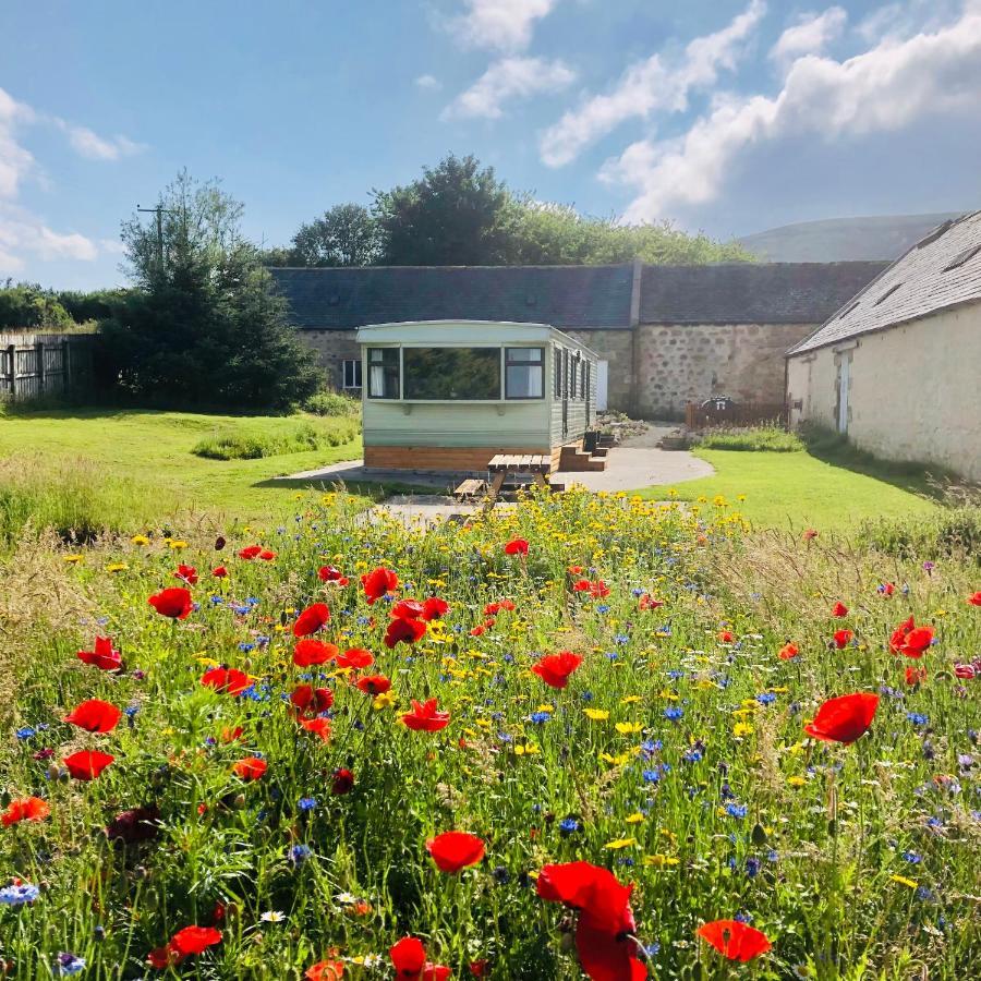 Lettoch Farm Holiday Home دوفتاون المظهر الخارجي الصورة